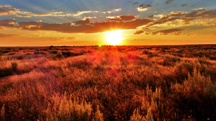 wallpaperflare.com что выбираешь ты?