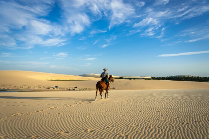 сбросив поводья