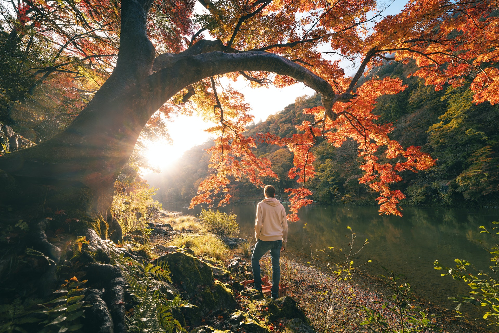 Мужчина смотрит на реку Кацура с гладкой скалы, обрамленной осенними листьями.