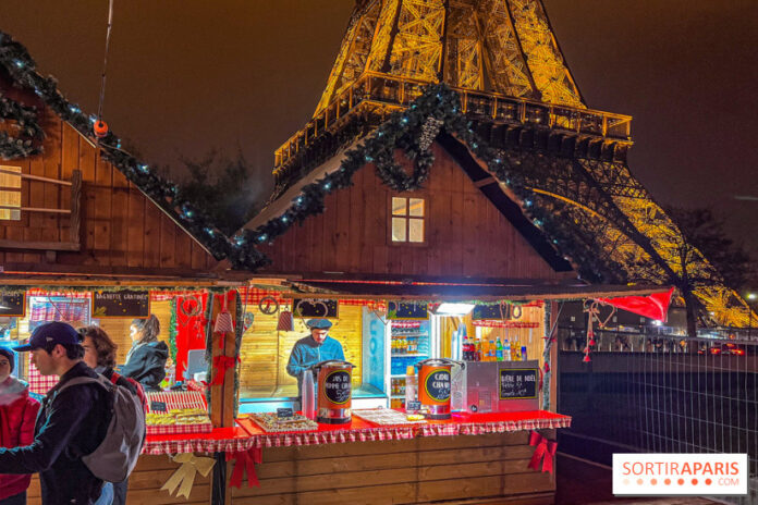 image-13-26 Новый год в Париже