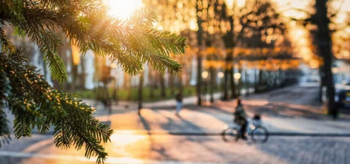 image-3-6 зимнее солнце