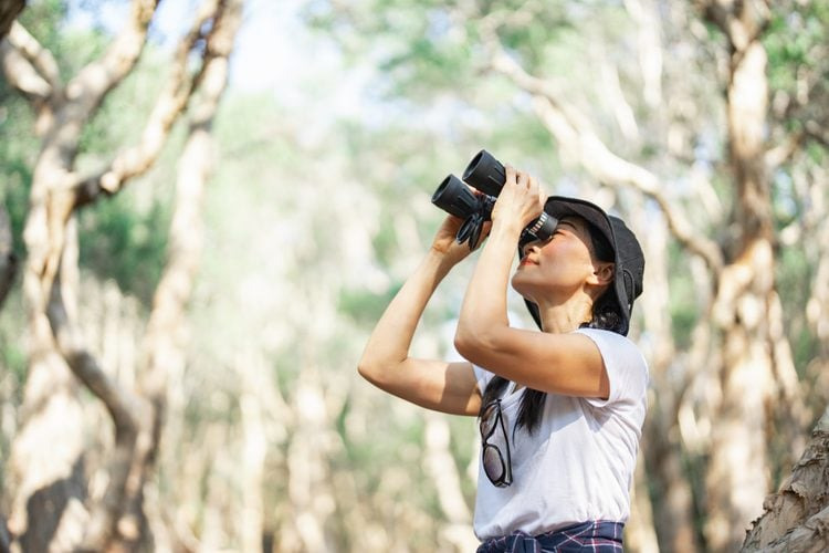 Девушка смотрит в бинокль